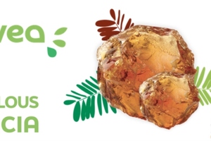 Nexira's Prebiotic Acacia selected as finalist for "Ingredient of the Year"