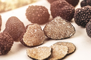 Next-generation sweet protein unearthed from fungi
