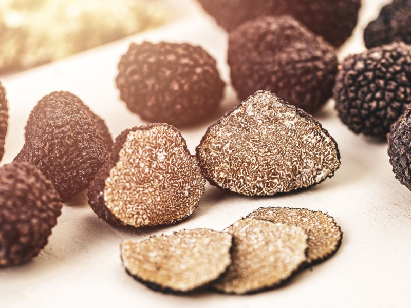 Next-generation sweet protein unearthed from fungi