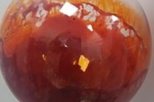 NextFerm Technologies applies for new yeast astaxanthin patent