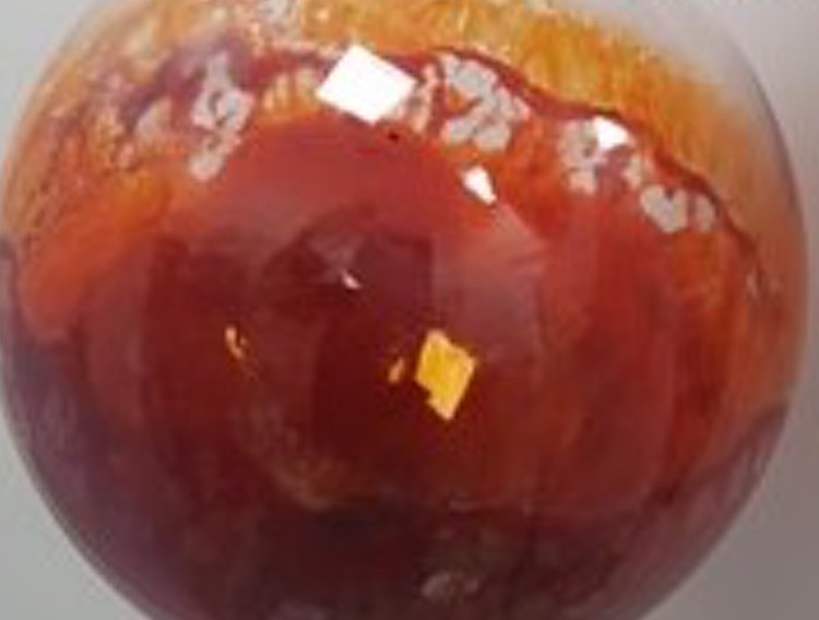 NextFerm Technologies applies for new yeast astaxanthin patent