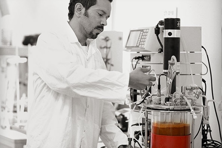 NextFerm Technologies files patent for astaxanthin-producing yeast strains