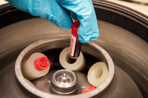 Nighttime whey protein snack increases morning blood sugar level