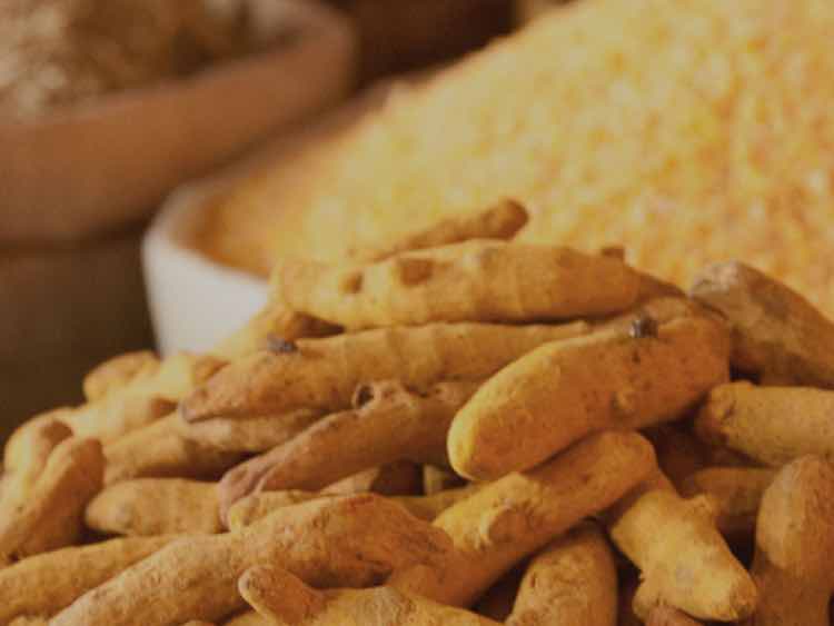Non-GMO Project welcomes CurcuWIN