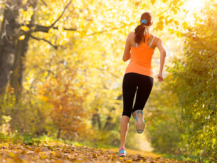 NovaSOL Curcumin and Boswellia liquid demonstrates  anti-inflammatory action
