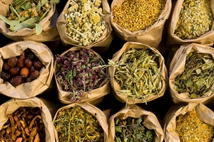 Novella leverages advanced technology to grow botanical ingredients