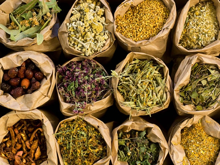 Novella leverages advanced technology to grow botanical ingredients