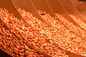 Nut sterilisation using the FoodSafety-IRD