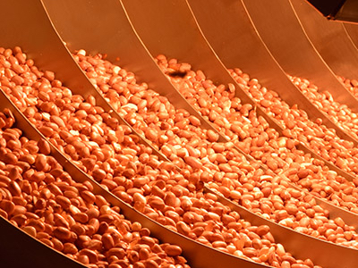 Nut sterilisation using the FoodSafety-IRD
