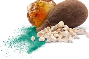 Nutraceutical Business Review in conversation with Nexira