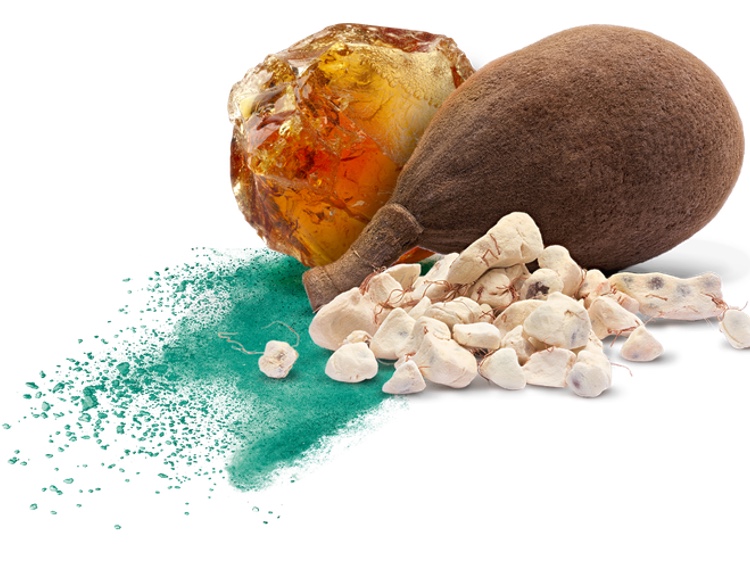 Nutraceutical Business Review in conversation with Nexira
