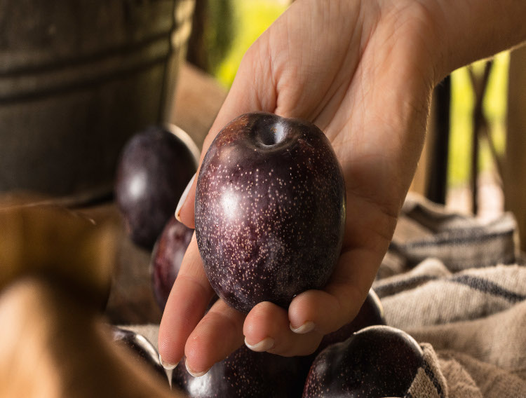 Nutrafruit and Native Extracts launch Queen Garnet ingredients