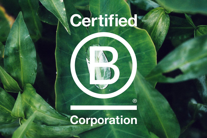 Nutriearth obtains B Corp certification for sustainable vitamin D3