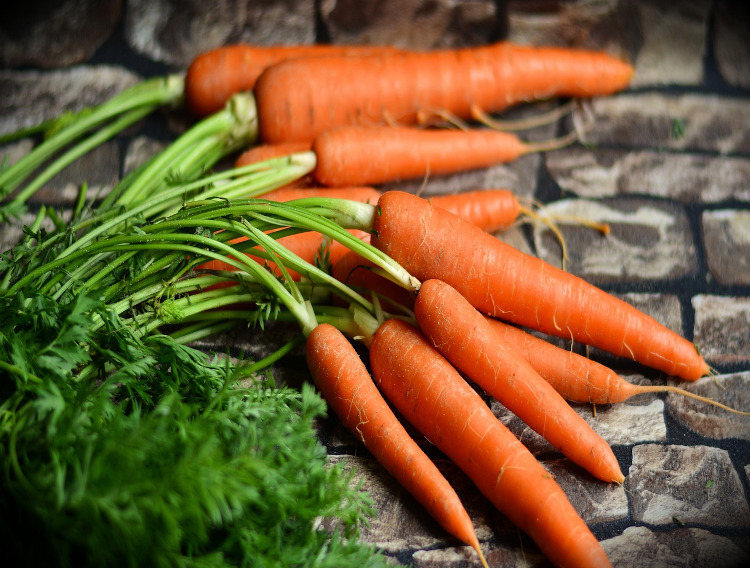 Nutrileads carrot-derived RG-1 ingredients support immune function
