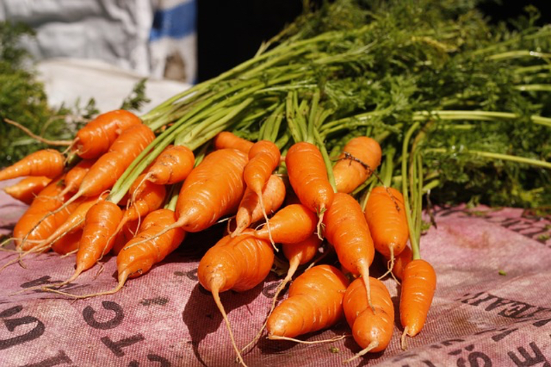 NutriLeads expands Benicaros' global presence to Malaysia with Nexus Wise partnership