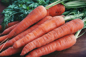 NutriLeads expands Benicaros' online presence with 1-2-Taste collaboration