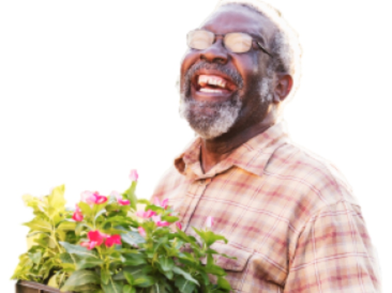 NutriLeads expands distribution for immune-support ingredient