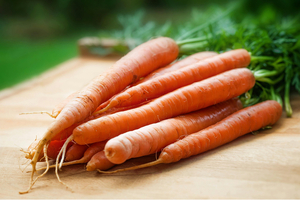 NutriLeads expands Asia-Pacific distribution for precision prebiotic Benicaros