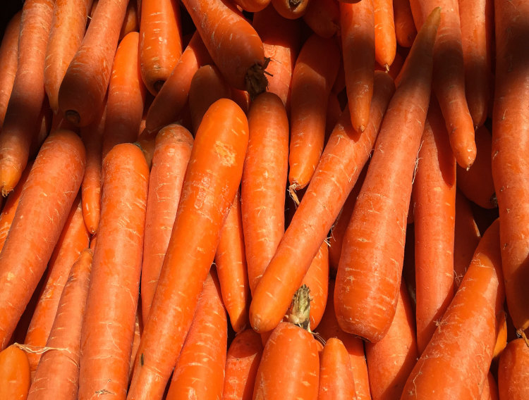 NutriLeads immune ingredient exhibits prebiotic effects