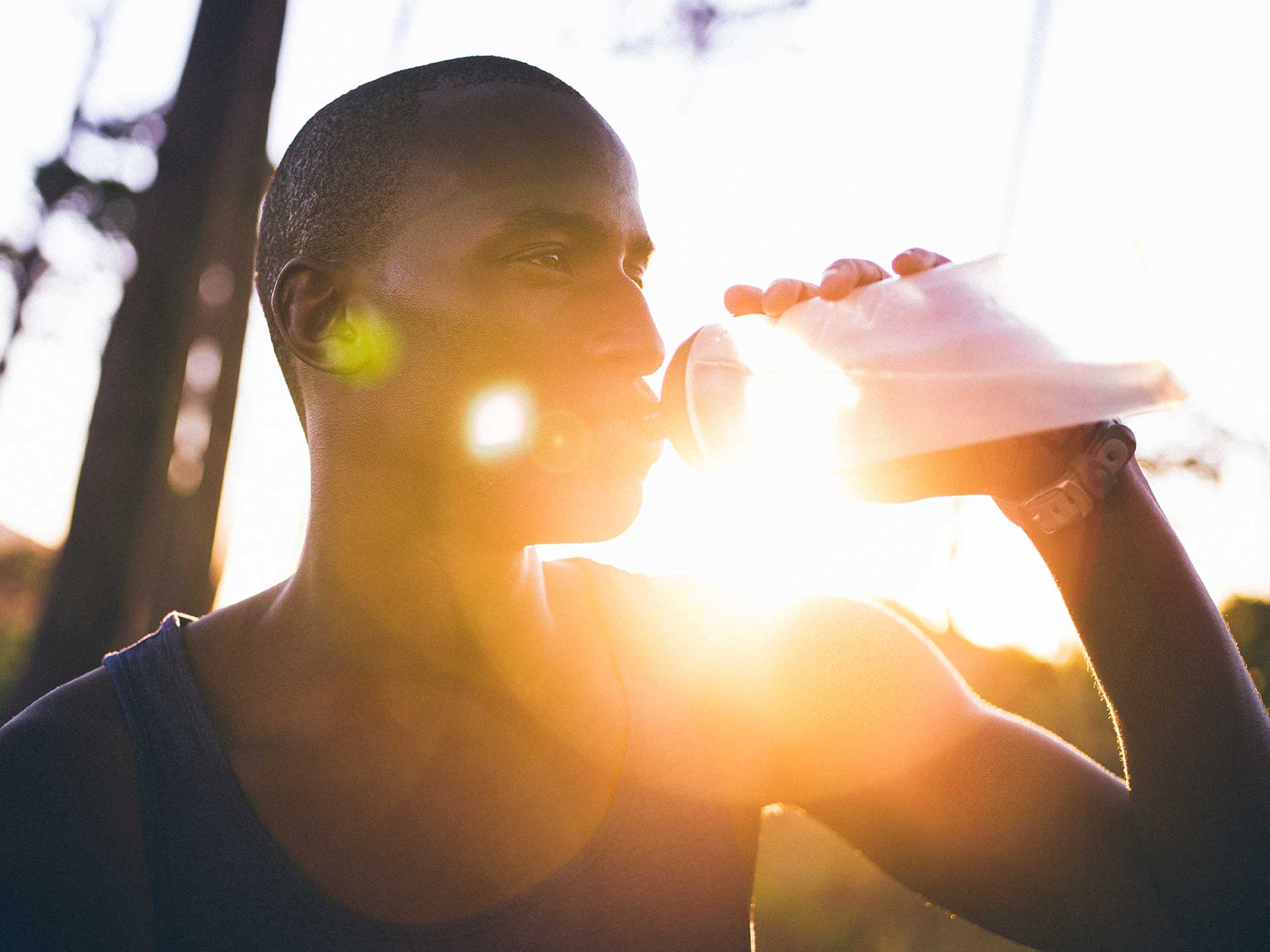 Nutrition Integrated launches “game-changing” new tool to support innovation and prospecting