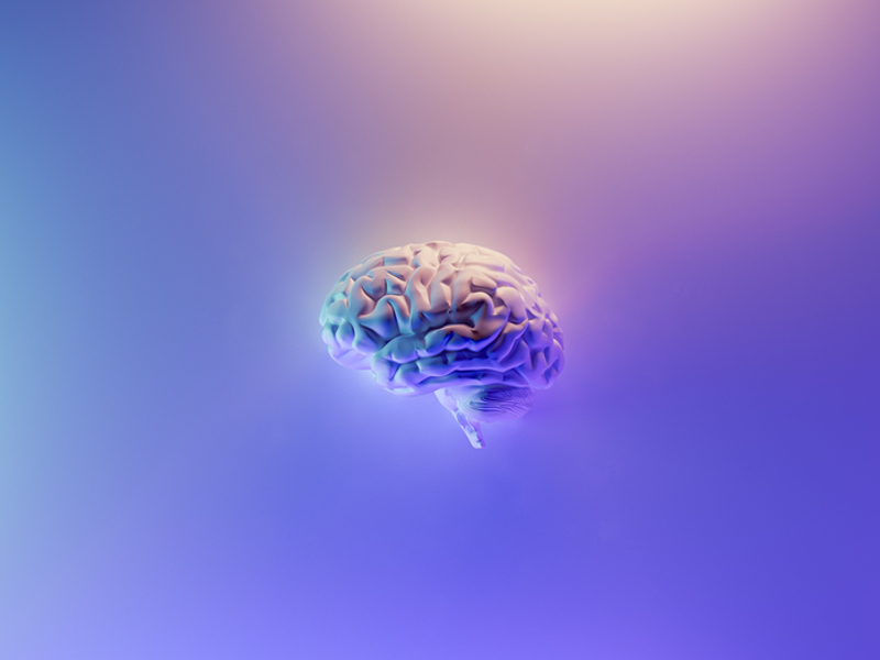 Nutrition21 launches non-stimulant nootropic ingredient