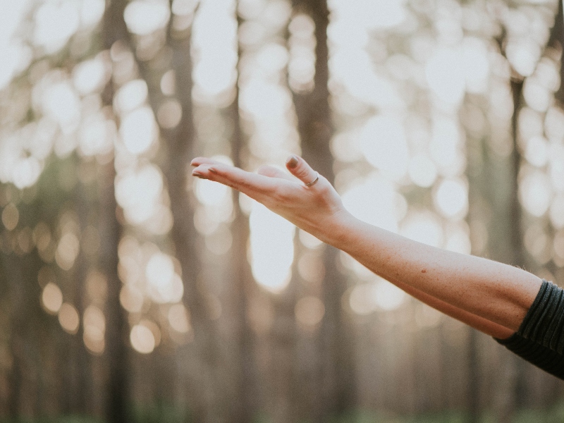 Nutriventia launches new sustained release ashwagandha