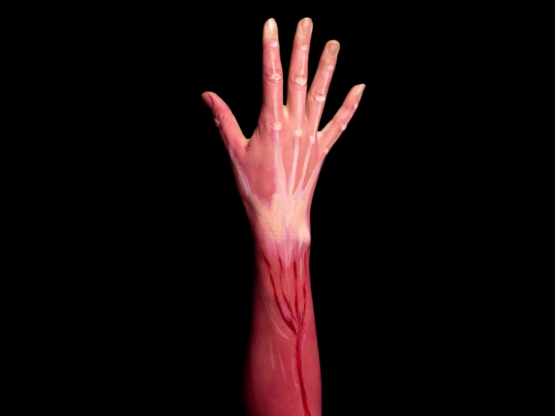 Nutriventia study reveals method of fighting DOMS