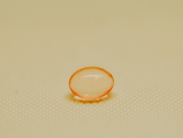 Nutriventia study reveals sustained-release vitamin C creates higher absorption
