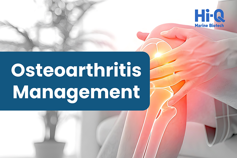 Oligo fucoidan shows novel mechanism in osteoarthritis management