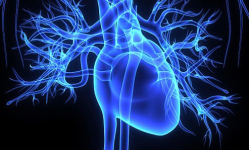 Omega-3 supplementation may improve mood in patients with heart failure and depression