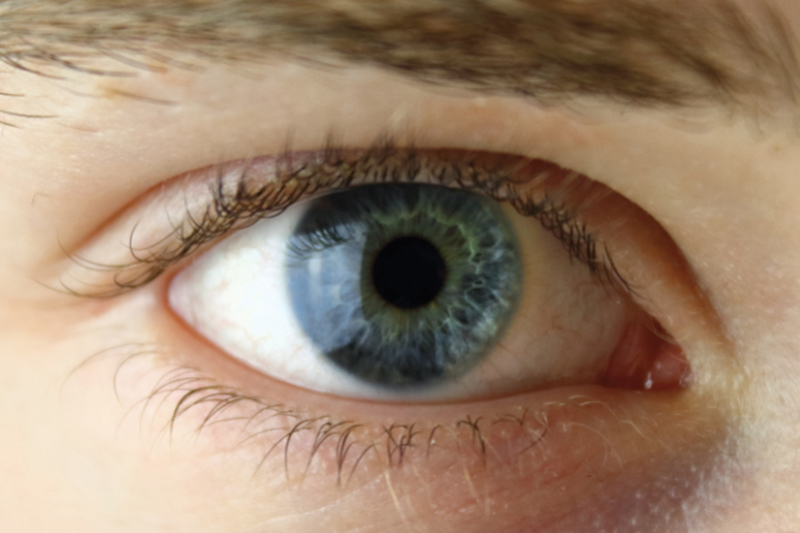 OmniActive Health Technologies presents at The Eye Health Summit