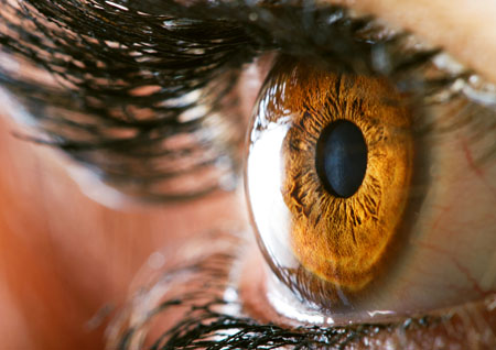 OmniActive presents poster on role of RS (meso)-zeaxanthin in protecting the retina from stress