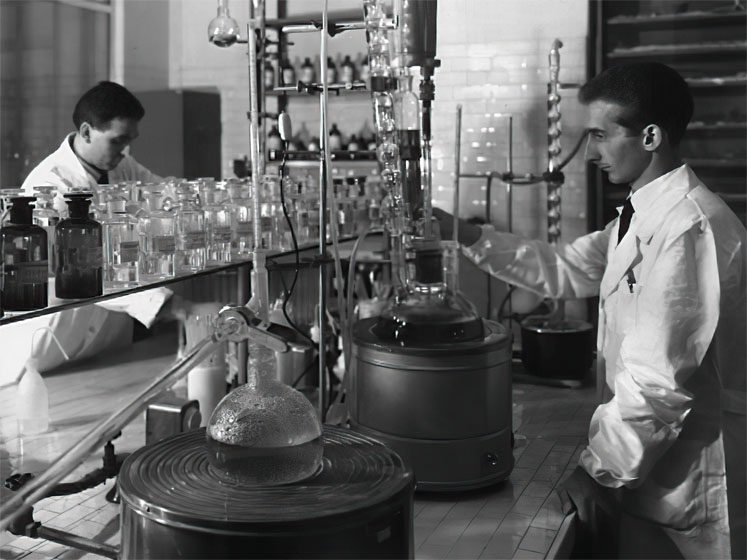 One hundred years of botanical excellence
