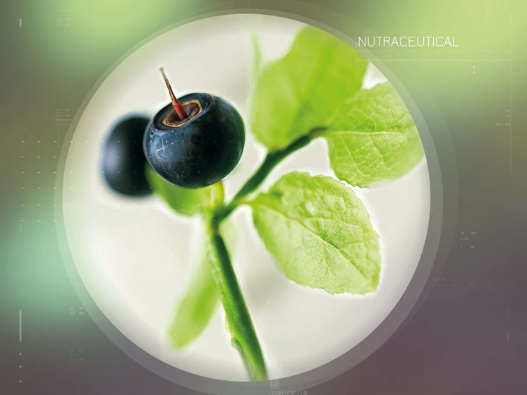 One hundred years of botanical excellence

