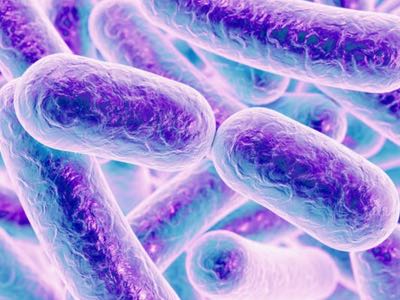 Optibiotix chooses Biolat to distribute LPLDL in the Baltic region