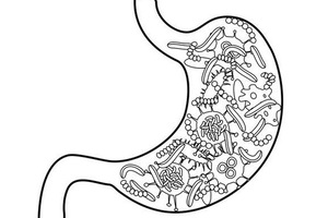 OptiBiotix receives CE mark approval for SlimBiome weight management product