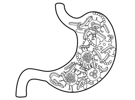 OptiBiotix receives CE mark approval for SlimBiome weight management product