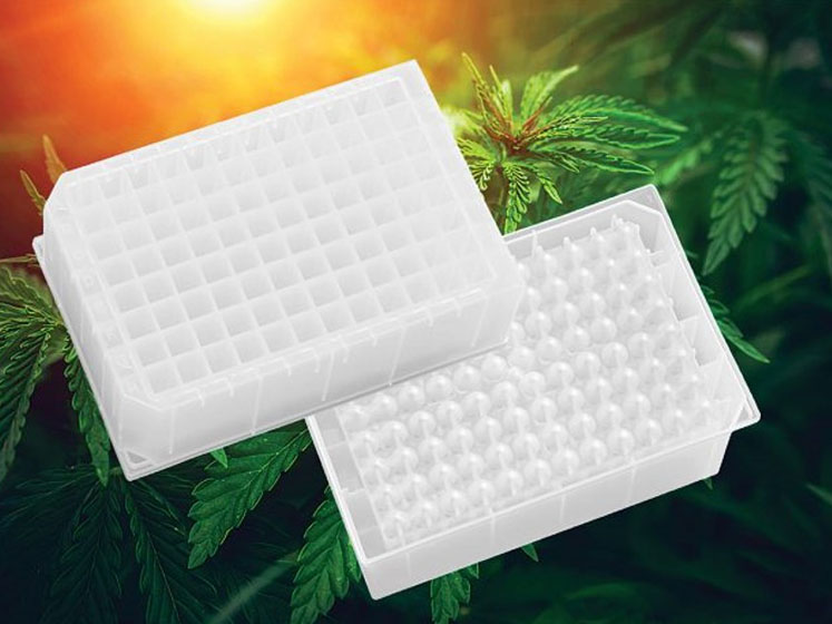 Optimised microplate for cannabis sample processing
