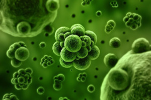 Oral versus colonoscopy faecal microbiota transplantation for recurrent Clostridium difficile