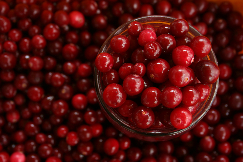 Oregon sees bolstered cranberry harvest