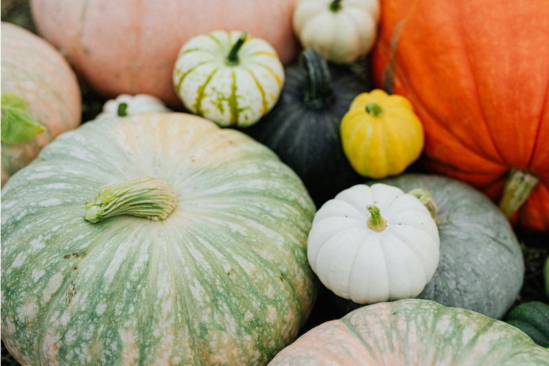 Orgenetics refines plant-based magnesium ingredients range