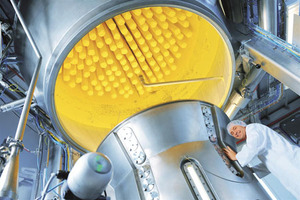 Outsourcing solutions for manufacturers of functional ingredients and food supplements 