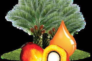 Palm tocotrienol complex protects against diabetic retinopathy