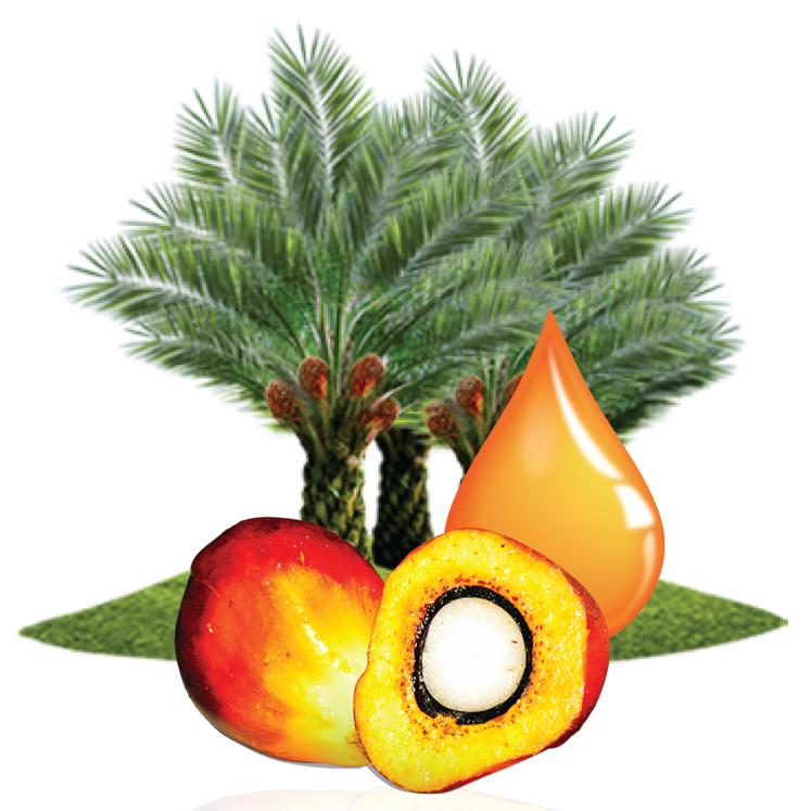Palm tocotrienol complex protects against diabetic retinopathy
