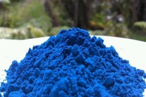Parry Nutraceuticals and Synthite Industries forge partnership for phycocyanin extraction