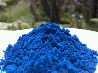 Parry Nutraceuticals and Synthite Industries forge partnership for phycocyanin extraction
