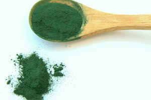 Parry’s microalgae facility completes FDA inspection