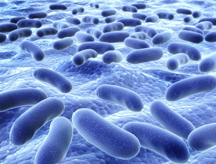 Pendulum announces publication of data for medical probiotic