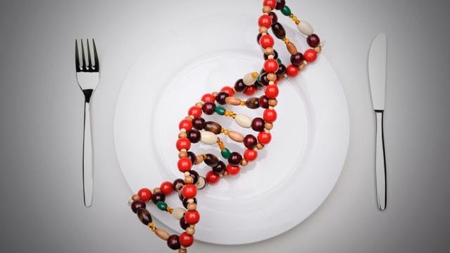 Personalised diets are cooked up in the lab