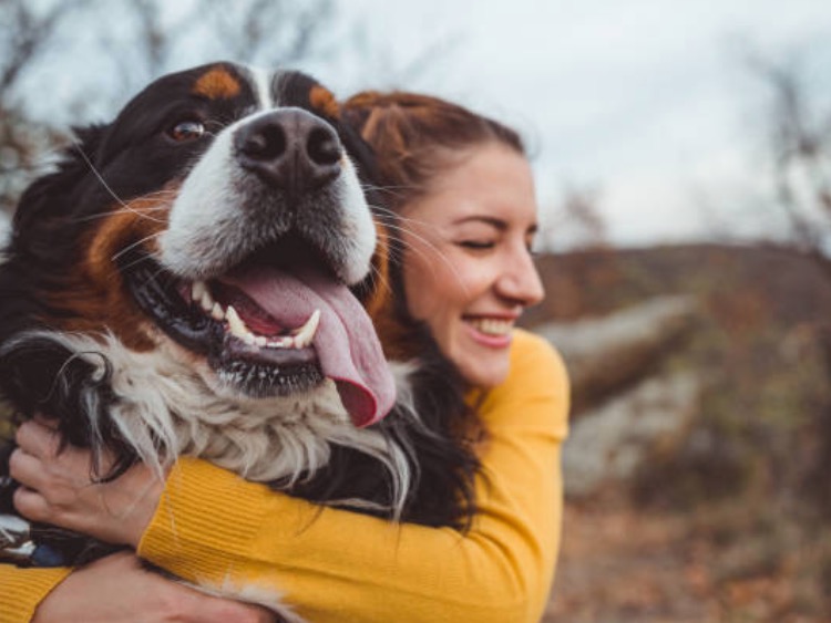 Pet market: 48% of pet owners are replacing Rx treatments with CBD